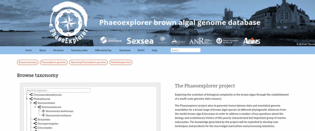 Portail web Phaeoexplorer