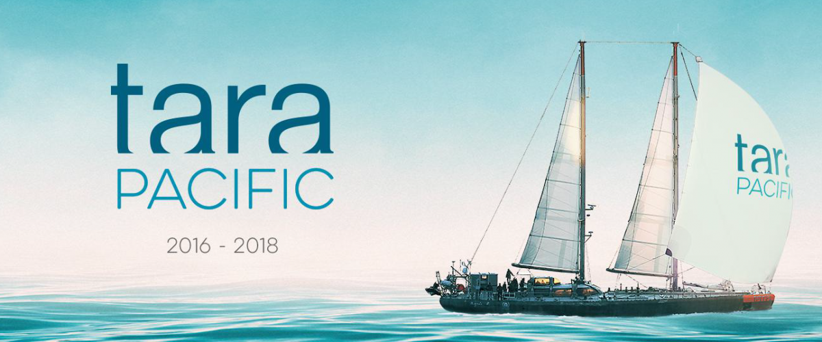 Tara Pacific 2016-2018