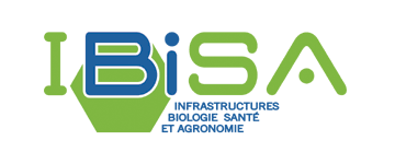 Logo - IBiSA