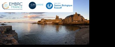 Station Biologique de Roscoff 