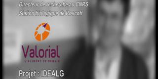 Idealg : projet d’innovation labellisé par Valorial