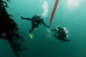 Intervention sous-marine sur l'instrumentation de la bouée Astan