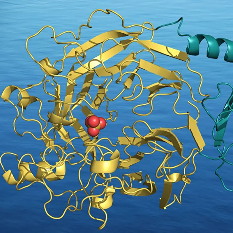 3D structure of ASST_5 ASST-3D