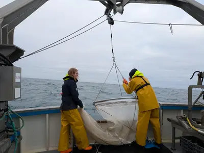 Déploiement d'un filet à bord du Neomysis